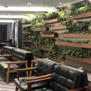 지에스안과의원 이미지