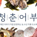 젊은어부 이미지