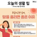 2024년 9월 3일 화요일, HeadlineNews 이미지