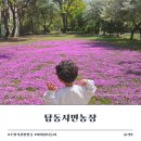 대수풀농장 | 수원 가볼만한곳 탑동시민농장 주차 피크닉 아이랑 나들이 갈만한 곳