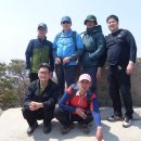 태평양참치 이미지