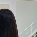 윤윤살롱