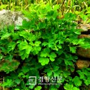 여수특산품명품화사업단