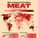 지도에 표시됨: 1인당 육류 소비량이 가장 많은 국가 이미지