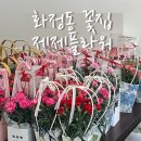2017081 | 광주 화정동 카네이션 꽃집 제제플라워, 어버이날 카네이션 내돈내산 후기