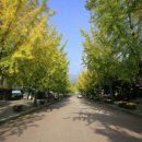 용문산관광지 야영장 이미지