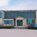 거북이만두 이미지