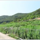 망산펜션 이미지