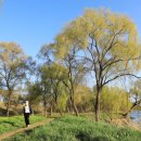 양평체육공원길 이미지