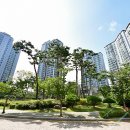 수완현진에버빌 1 이미지