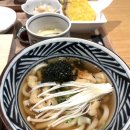 아라한 참치 | 대구 수성구 맛집 찾으신다면 룸식이라 부모님 만족도 높았던 아라한참치 후기