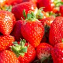 명재 농장 이미지