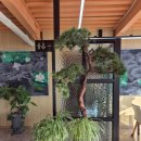 무교동낙지샤브칼국수 | [강화 보문사 맛집 ] 석모리 갯바다해물샤브칼국수 낙지정식 후기