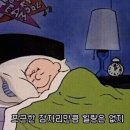 능수정 이미지