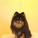 랄라펫살롱 이미지