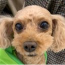 유니동물병원 이미지