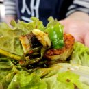 벌떡 장어 이미지