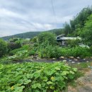 노곡리마을회관 이미지