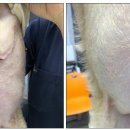 방학동물외과센터 이미지