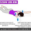 토니바디 휘트니스 이미지