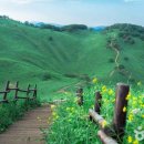 새춘천주유소 이미지