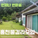 나라상사(스타주유소) | 홍천 물걸리 골짜기에서 물걸리파의 하루
