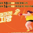 ﻿﻿2019년 11월28일 목요일 신문에 나온 알아두면 좋을 이야기들 이미지