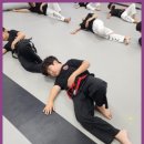 다부진 합기도 이미지