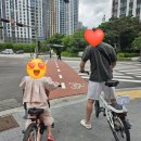 초장집다산점 | 다산 인어교주해적섬 대게 먹은 후기 회 해산물 맛집