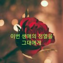 보험개발원점