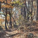 도봉-도봉-서울도봉-2425 이미지