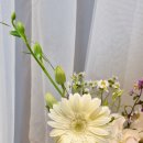 마리애플라워 네이버블로그