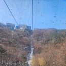 맘스터치 하이원점 이미지