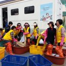 사랑세탁 이미지