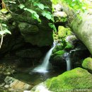 개인약수 이미지