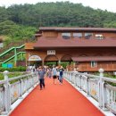 섬진강 레일바이크 이미지