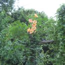 복중농장 이미지