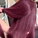 염색공간 이미지