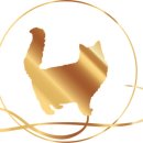 랙돌 캐터리 아이돌스(IDOLLS) 이미지