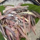 우체국사거리_하 이미지