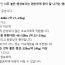 동은스포츠