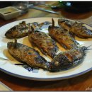 미락뽈락 이미지