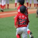 6월 10일 (월) 제38회 두산베어스기 서울특별시 U12 야구대회 토너먼트 1차전 백운초 VS 갈산초 (사진14) 이미지