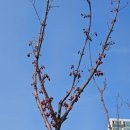 운중천반려견놀이터 이미지