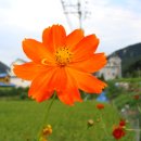 백양리역 이미지