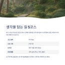 팔공산녹색길 숲길 1코스 이미지