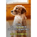 원효동물병원 이미지