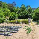 가야산아래 이미지