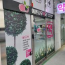 예쁜나무약국 네이버블로그