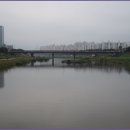 올레길 하천형 3코스 이미지